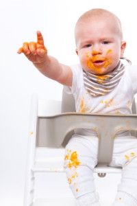 baby food diet