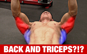 best-workout-split-to-build-muscle-yt